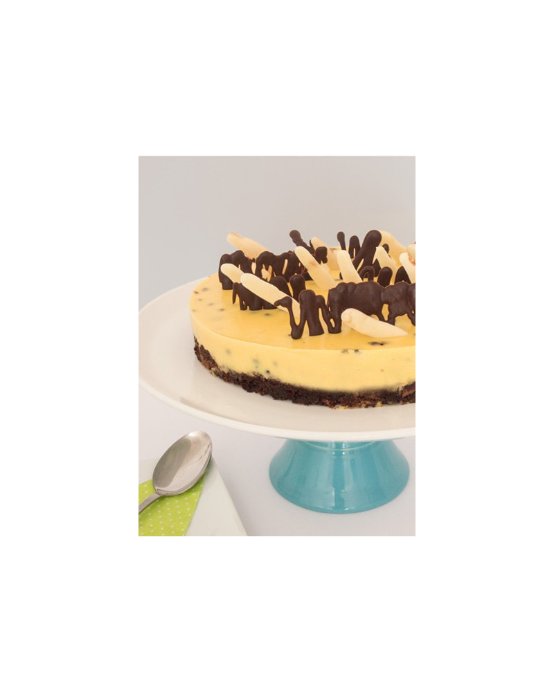 Torta de Maracuyá y chocolate - Chocopasion Torta de Maracuyá y chocolate - Chocopasion
