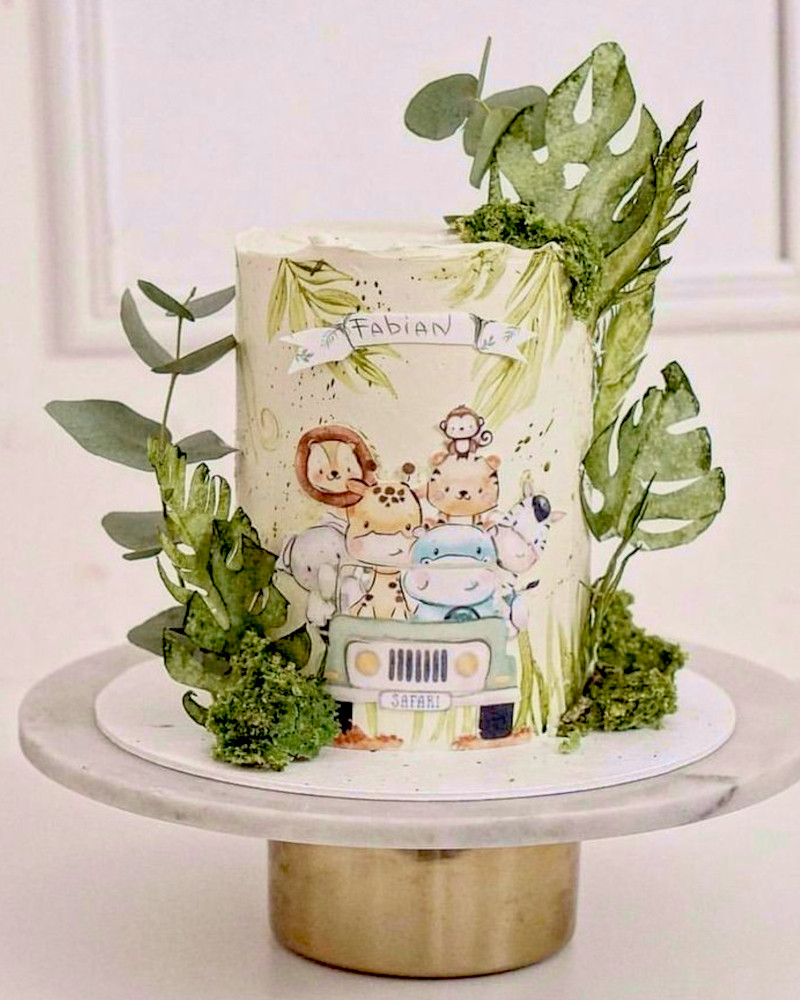 Animales de la selva Animales de la selva