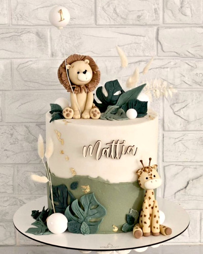 Animales de la selva Animales de la selva